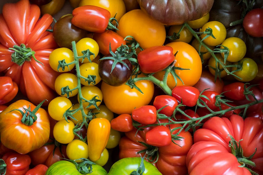 Crown Prince Squash delicious roasted or it makes the most amazingly rich soup