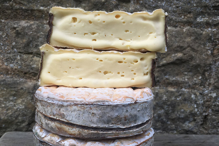 Wykham Evenlode Cheese